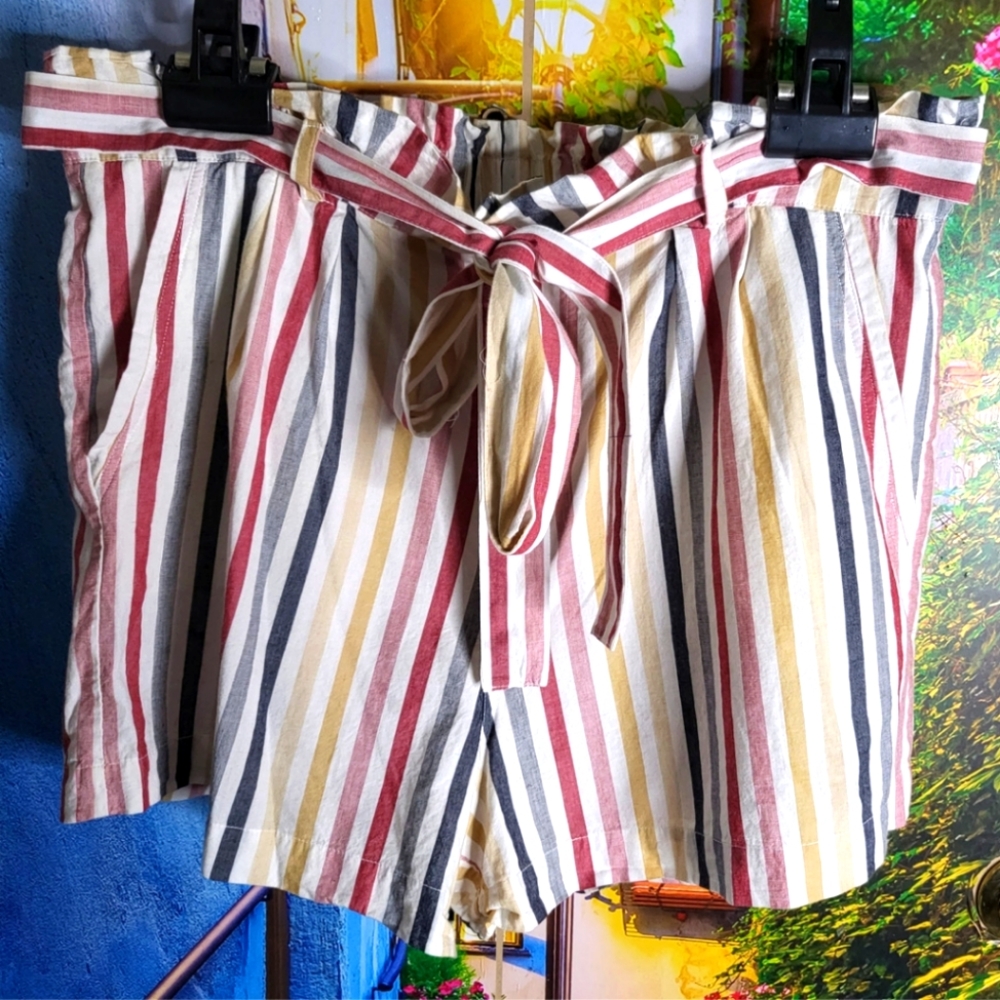 Forever 21 - Plus Size - Multicolor Striped Shorts